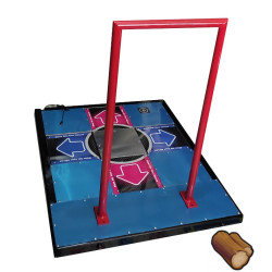 Cole Dance Revolution con Barras y Luces de Madera